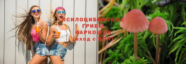 ПСИЛОЦИБИНОВЫЕ ГРИБЫ Алзамай
