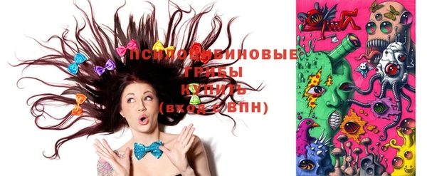 ПСИЛОЦИБИНОВЫЕ ГРИБЫ Алзамай