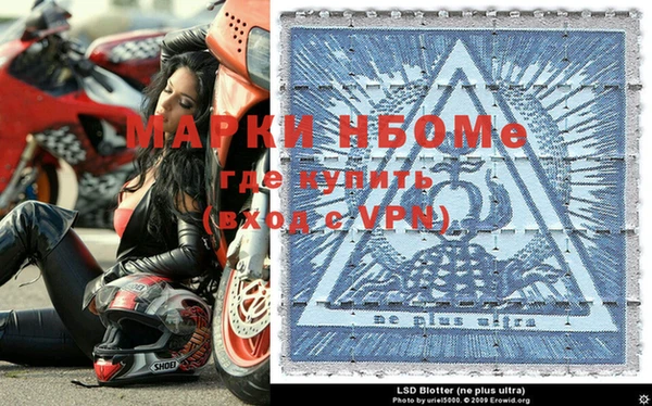 ПСИЛОЦИБИНОВЫЕ ГРИБЫ Алзамай