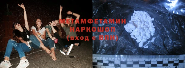 ПСИЛОЦИБИНОВЫЕ ГРИБЫ Алзамай