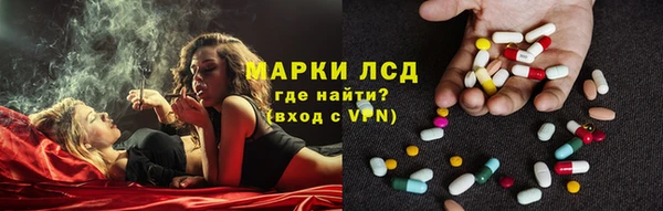 ПСИЛОЦИБИНОВЫЕ ГРИБЫ Алзамай