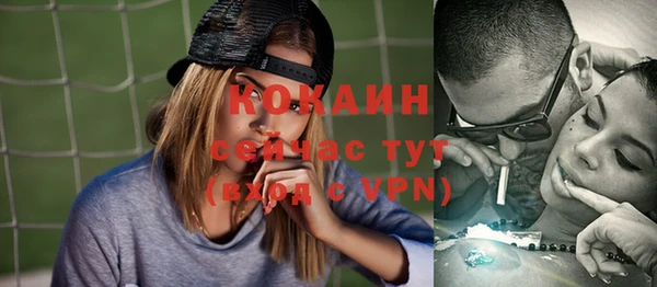молекула духа Алексин