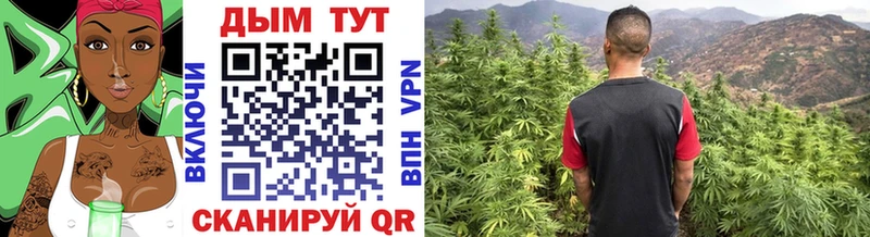 где продают наркотики  Новосибирск  ссылка на мегу онион  Бошки марихуана семена 